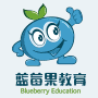  Blueberry education