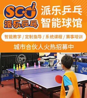  Paile Table Tennis Intelligent Stadium Joined